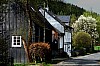 vormwald 1 - (c) c tussing.jpg